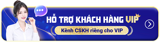 Hỗ trợ khách hàng VIP